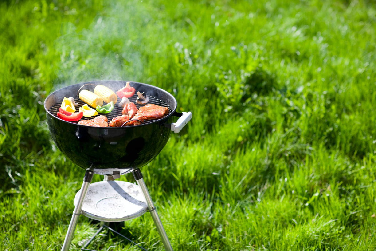 Gemüse und Fleisch im Garten grillen