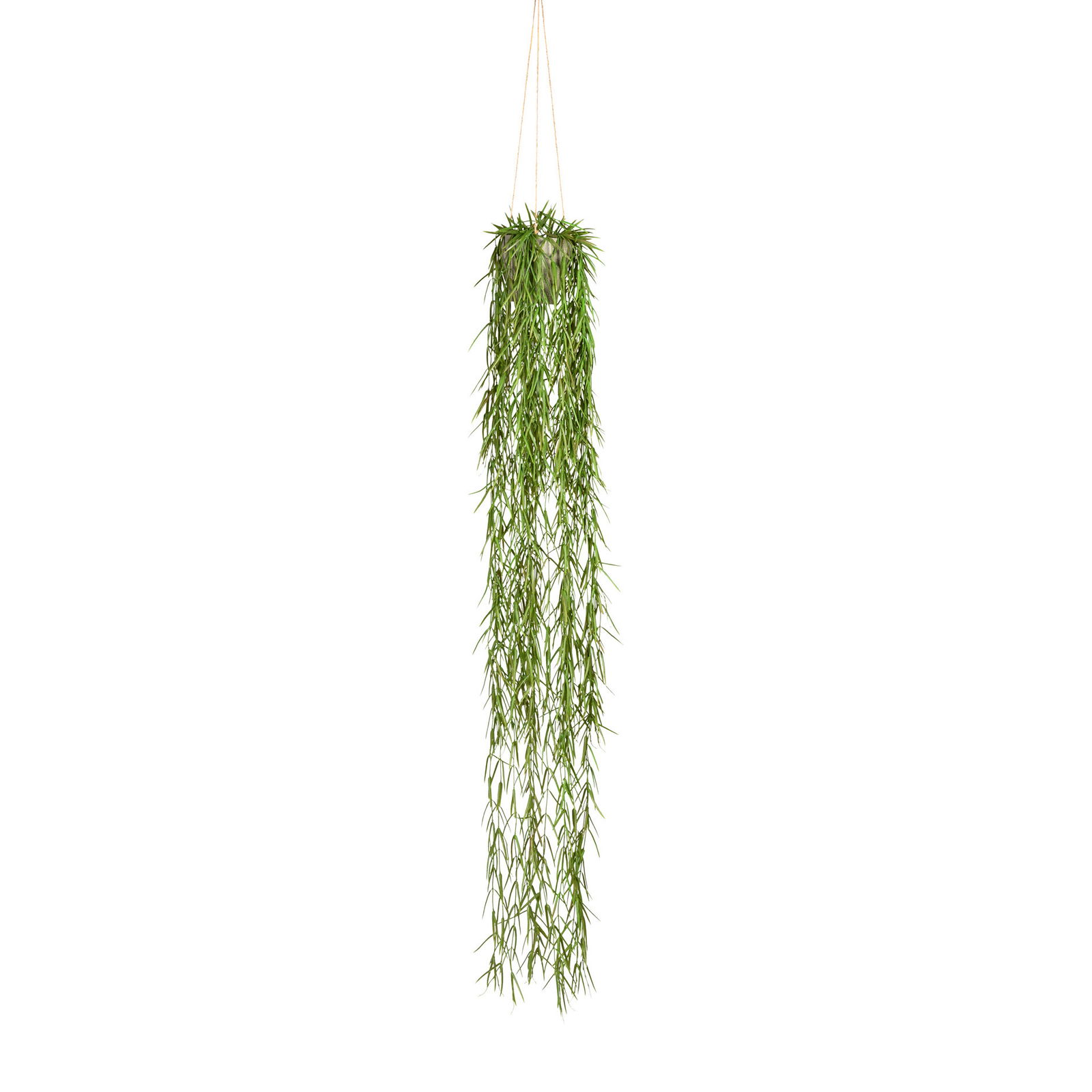 Kunstpflanze Tillandsia, grün, Topf-Ø 11 cm, Höhe ca. 120 cm