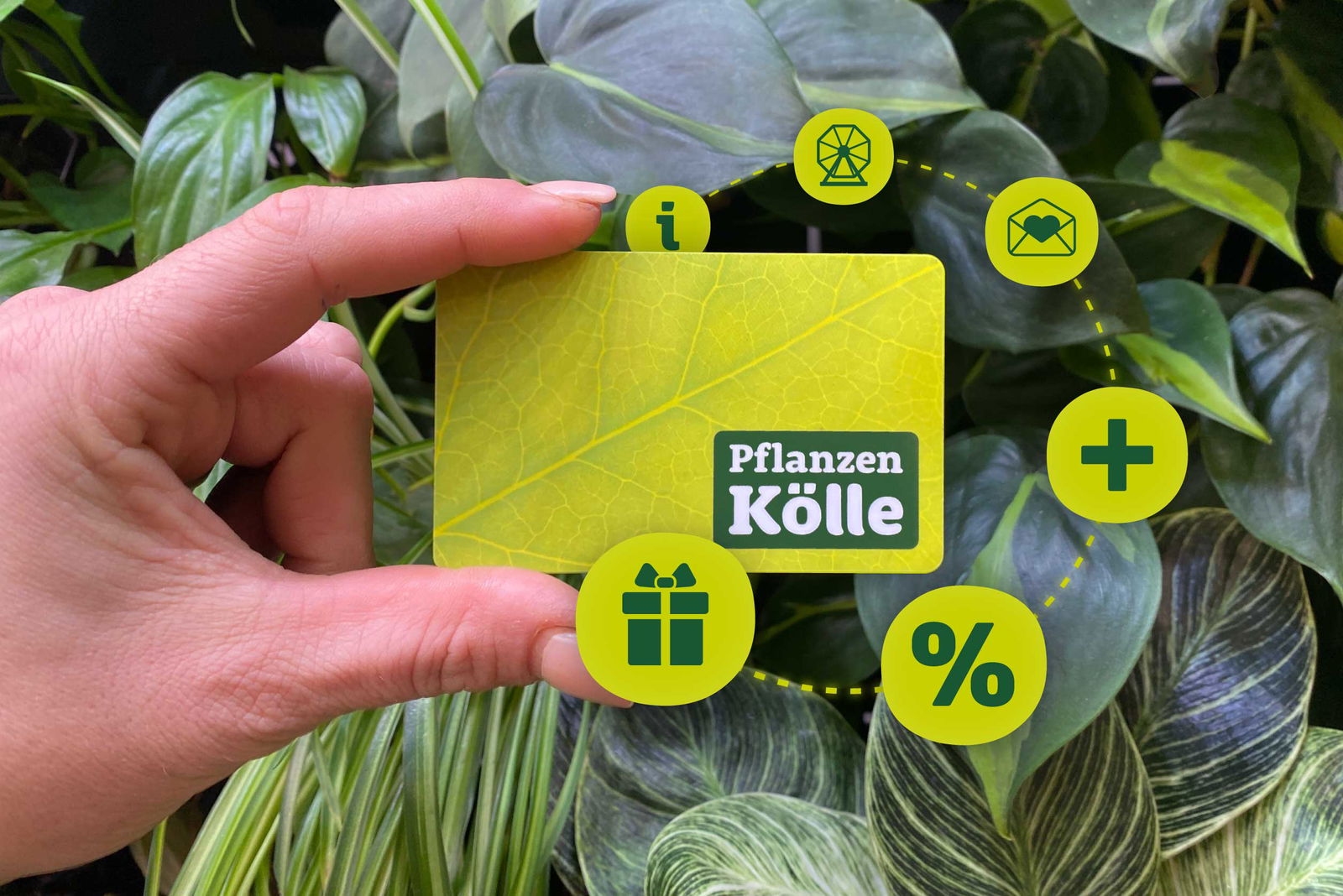 Die Pflanzen-Kölle Kundenkarte 