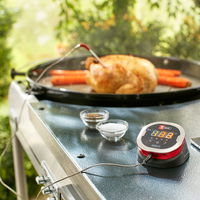 Weber® iGrill® 2 mit zwei Messfühlern