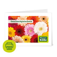 Gutschein zum Ausdrucken 'Gerbera'