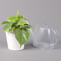 Philodendron scandens in Keramiktopf weiß, Topf-Ø 12 cm, Höhe ca. 20 cm, 3er-Set