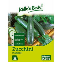 Gemüsesamen, Zucchini 'Diamant'