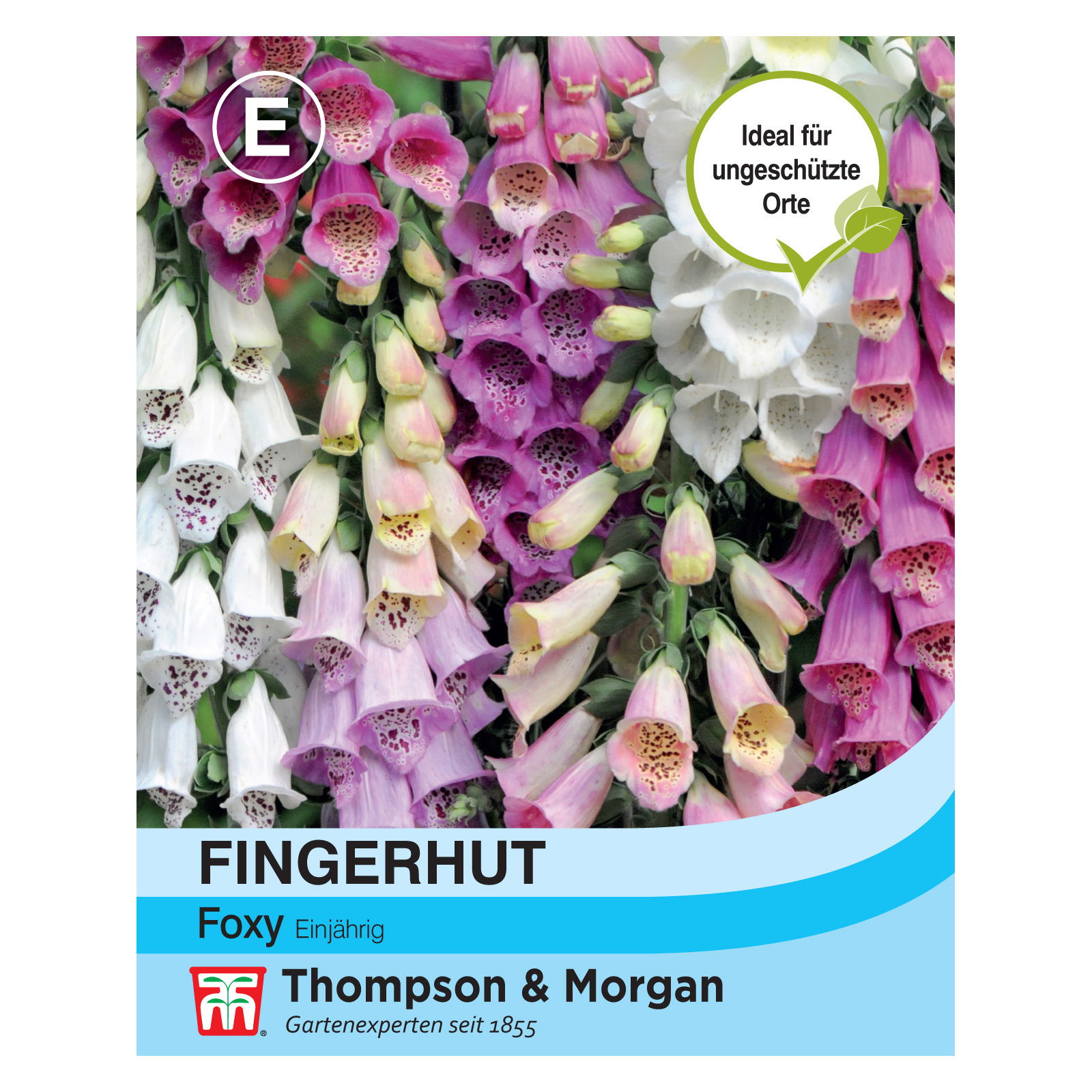 Blumensamen, Fingerhut 'Foxy', rosa, 100 Stück