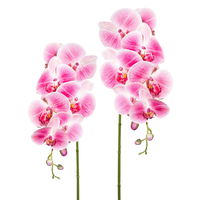 Kunstpflanze Orchideenzweig, dunkelrosa, ca. 87 cm, 2 Stück