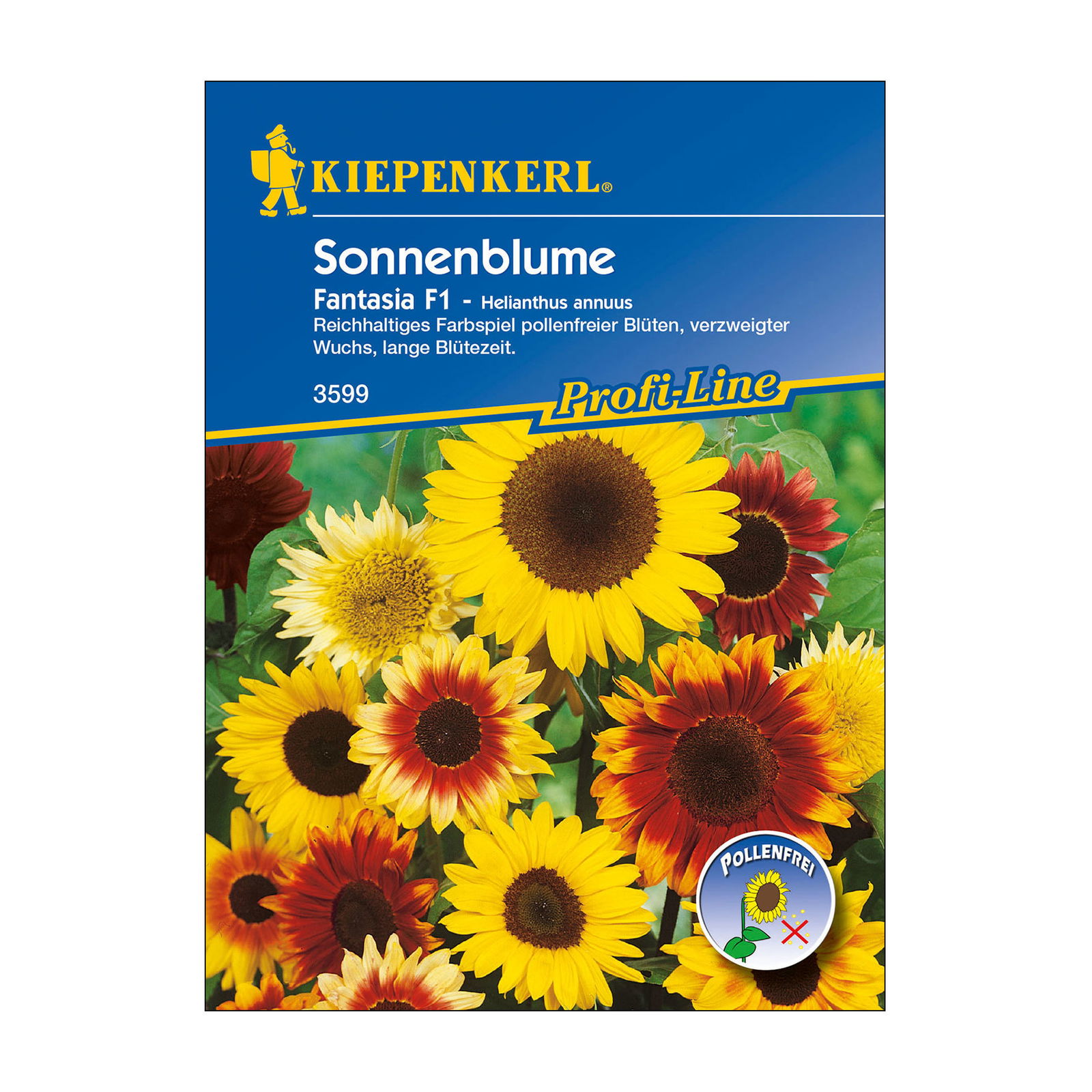 Blumensamen, Sonnenblume 'Fantasia Mix', gelb