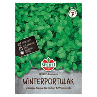 Saatgut Winterportulak 'Postelein'