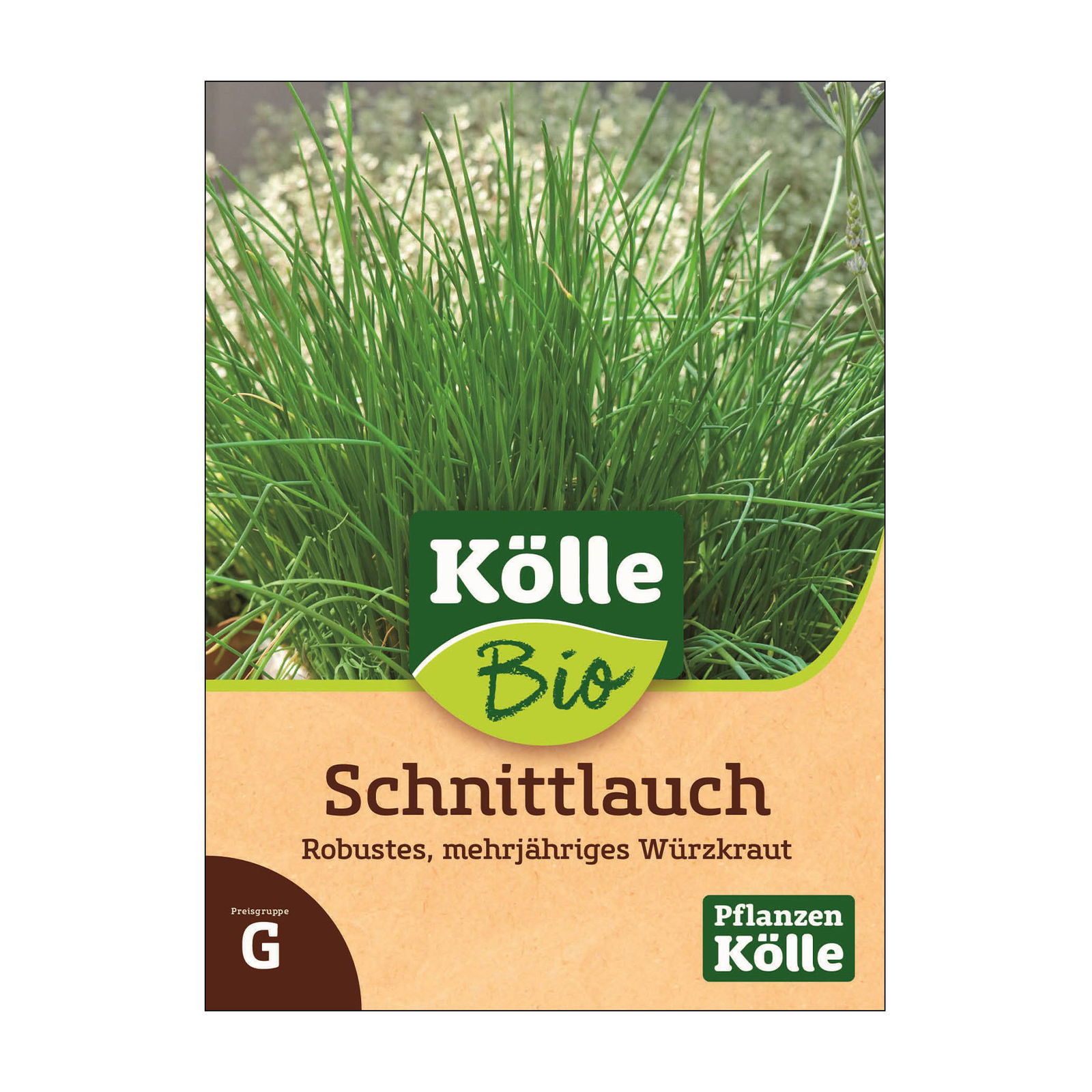 Bio Schnittlauch