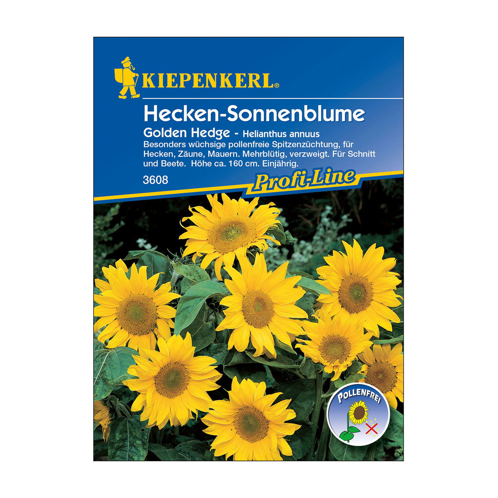 Blumensamen, Sonnenblume 'Golden Hedge', gelb