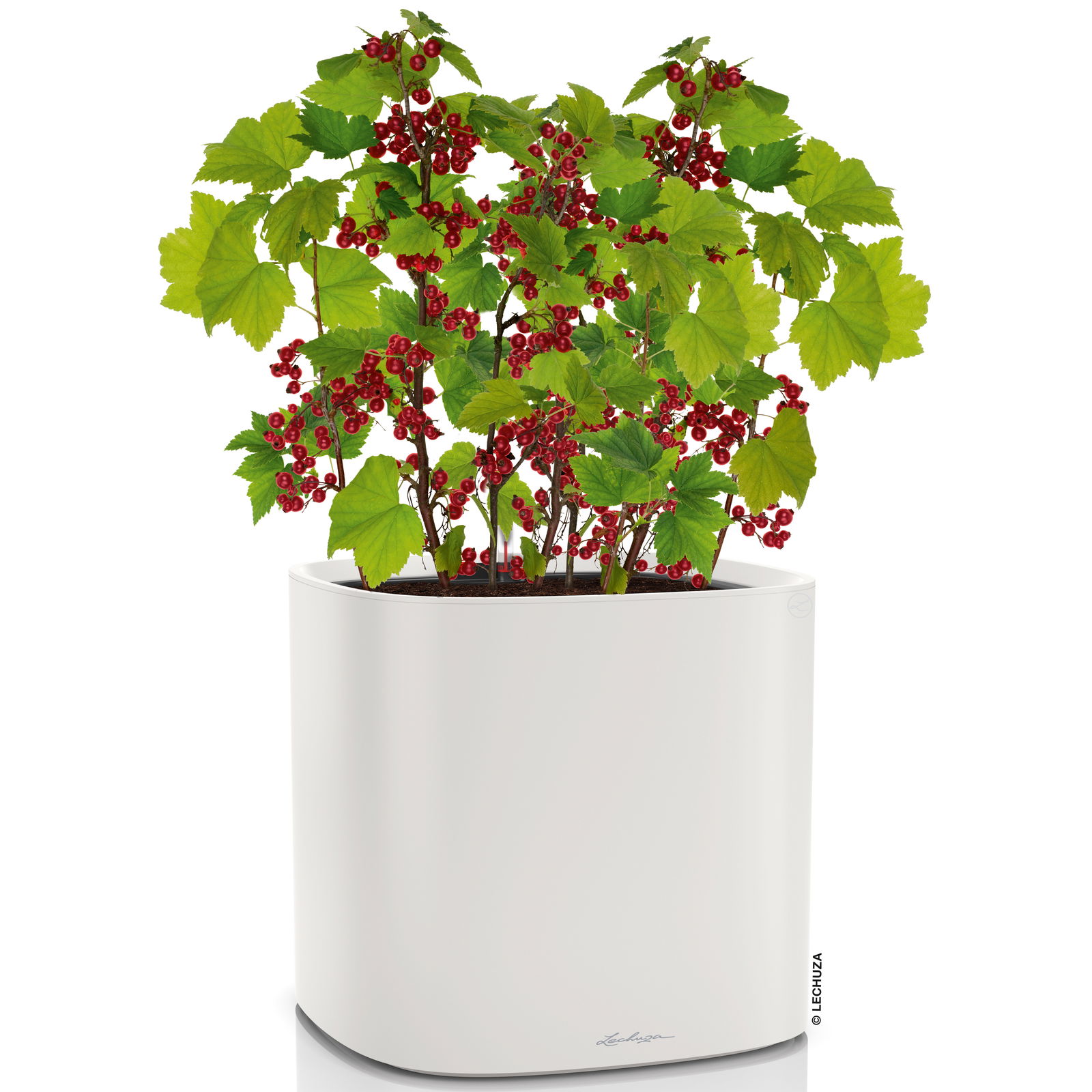 Lechuza 'Pila Color Planter', lichtgrau, 35 x 35 x H 32,5 cm