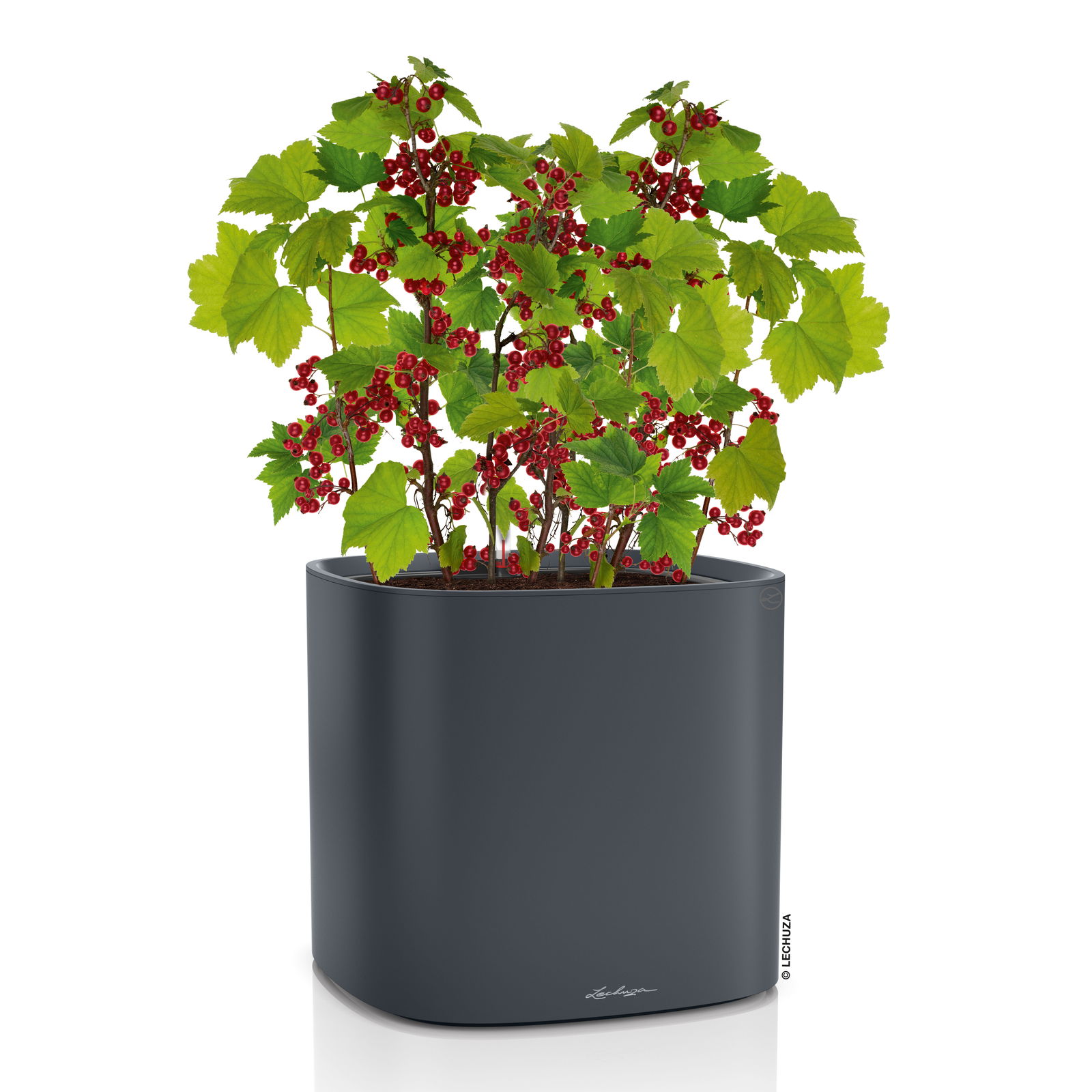 Lechuza 'Pila Color Planter', schiefergrau, 35 x 35 x H 32,5 cm