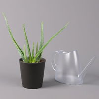 Aloe vera mit Keramiktopf anthrazit, Topf-Ø 12 cm, Höhe ca. 20-35 cm, 2er-Set