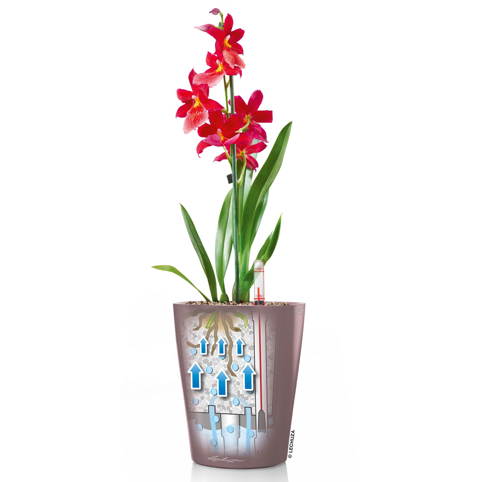 Lechuza® 'Deltini', scarlet-rot, 15 x 15 x 19 cm