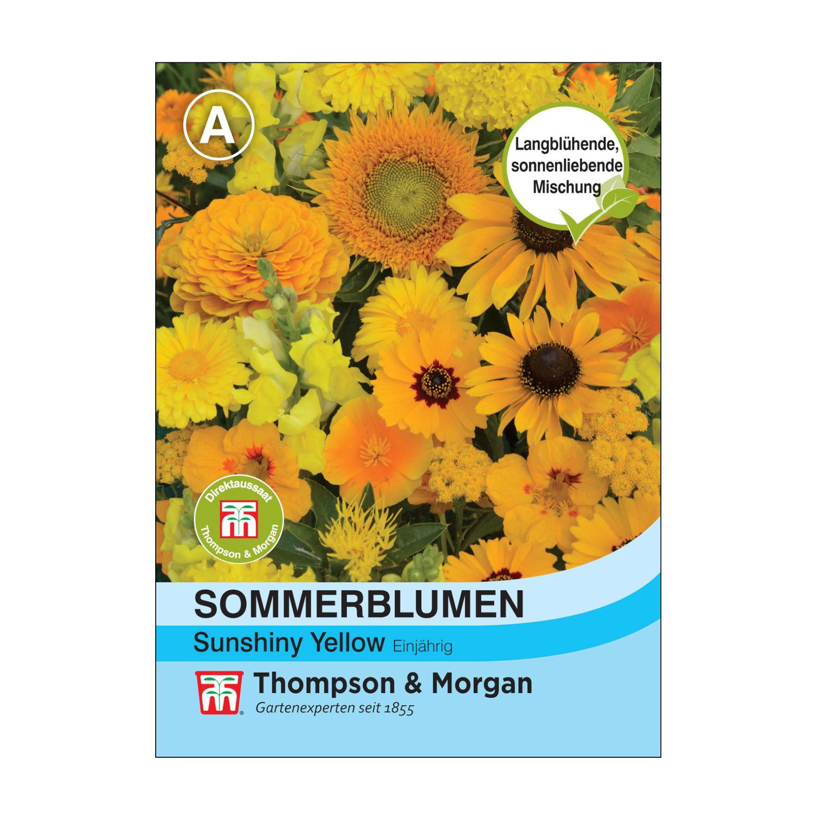 Sommerblumen-Mischung „Sunshiny Yellow“ (Helianthus annuus), Blüten in Gelb, lange Blütezeit