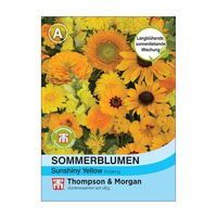 Sommerblumen-Mischung „Sunshiny Yellow“ (Helianthus annuus), Blüten in Gelb, lange Blütezeit