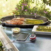 Weber® iGrill® Mini mit LED-Display