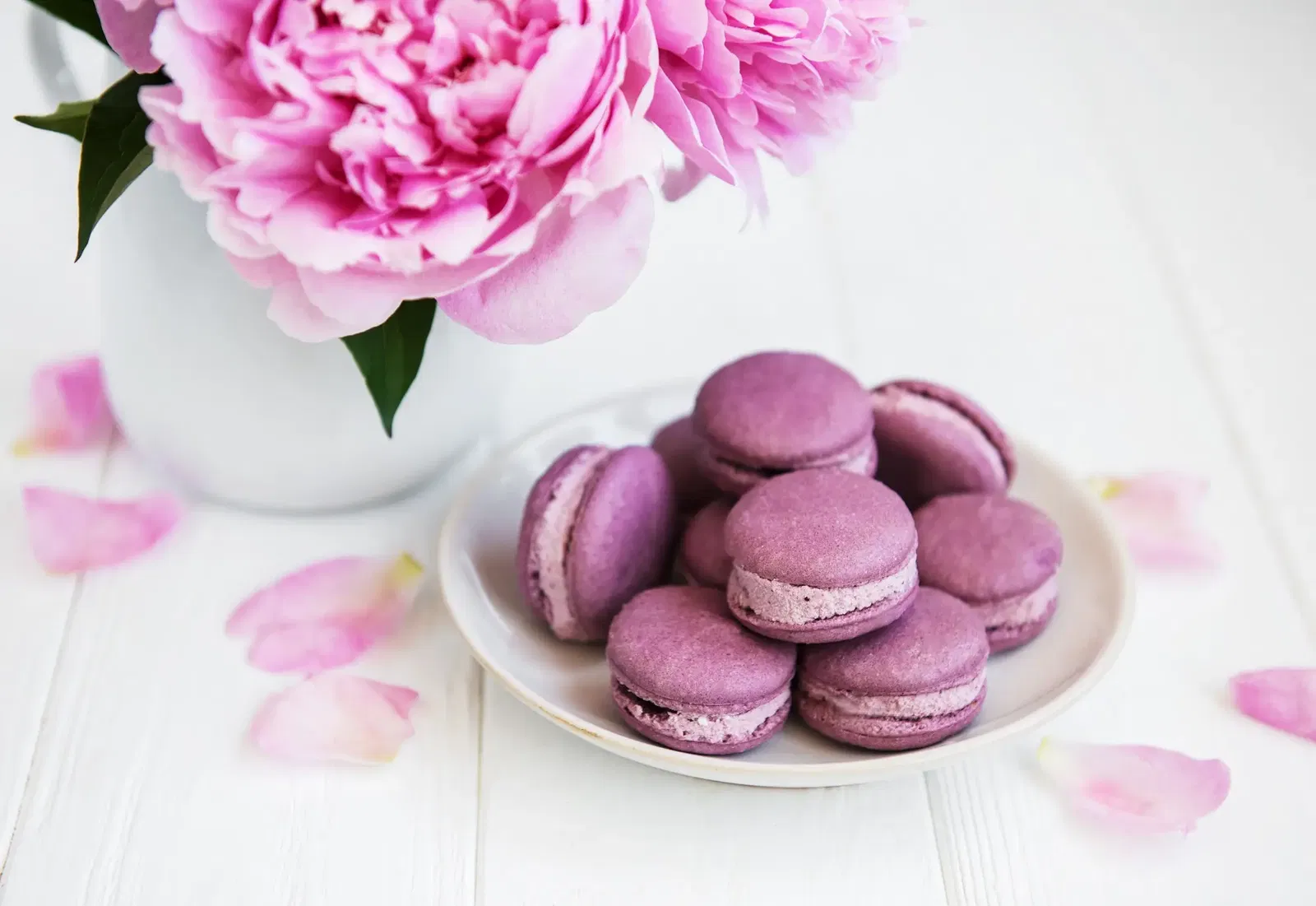 Holunderblüten Macarons