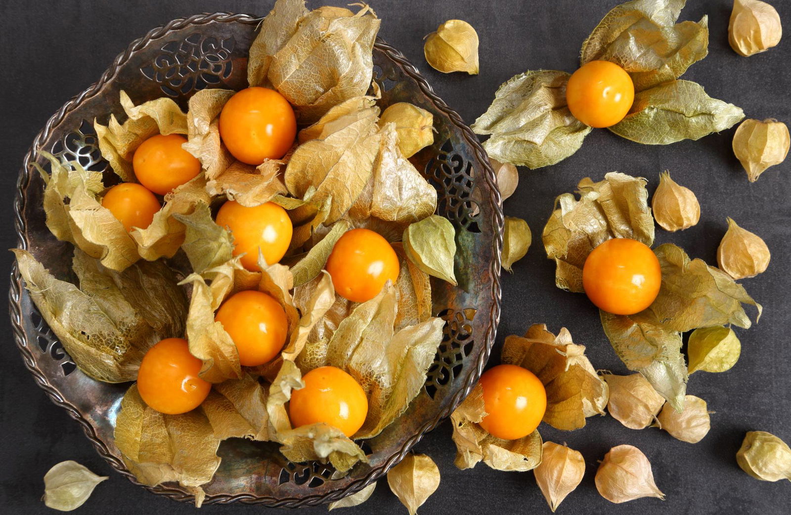 Physalis