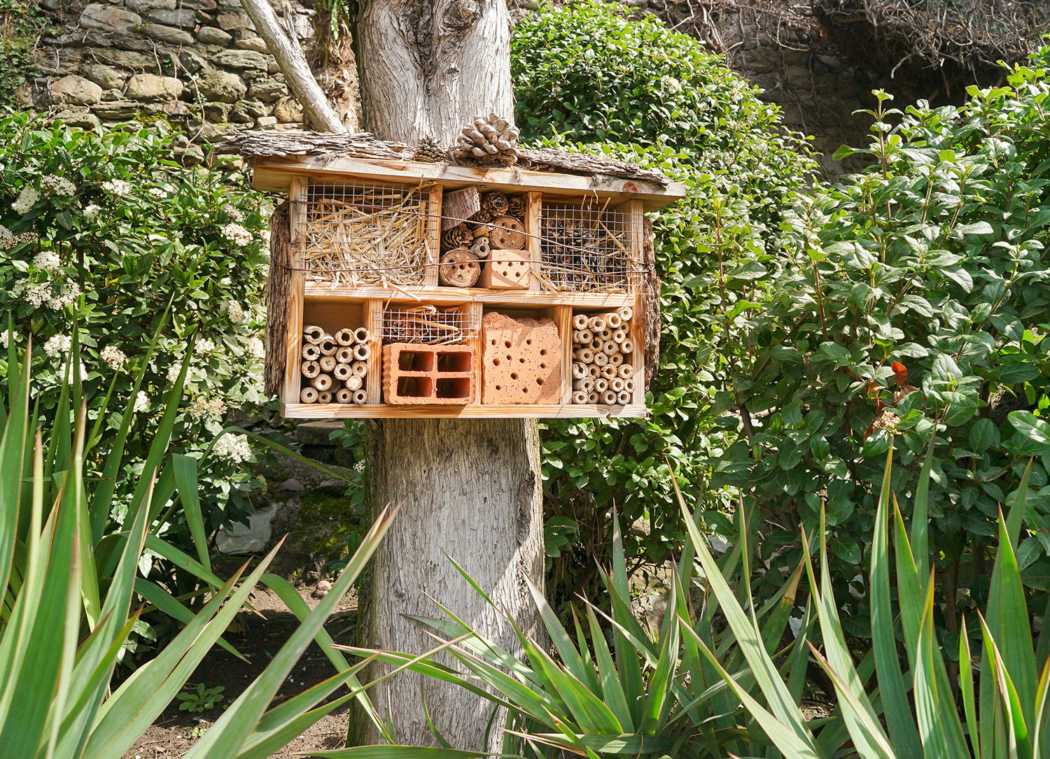 Insektenhotel hängend am Baum im Garten