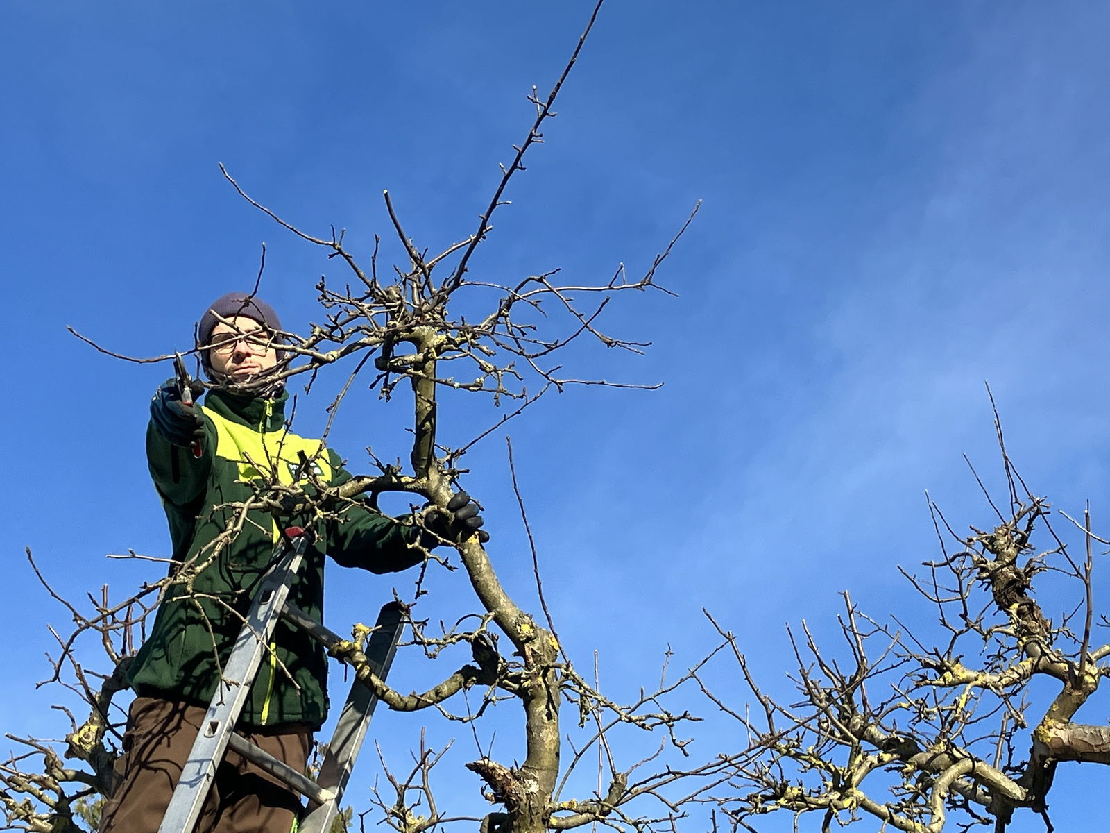 Garten pflegen lassen von Pflanzen-Kölle