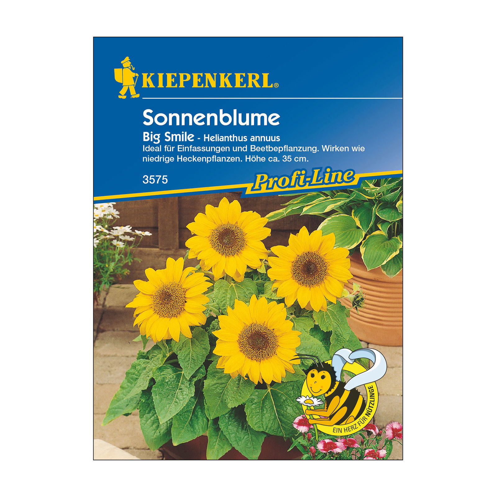 Sonnenblumensamen, Sonnenblume 'Big Smile'