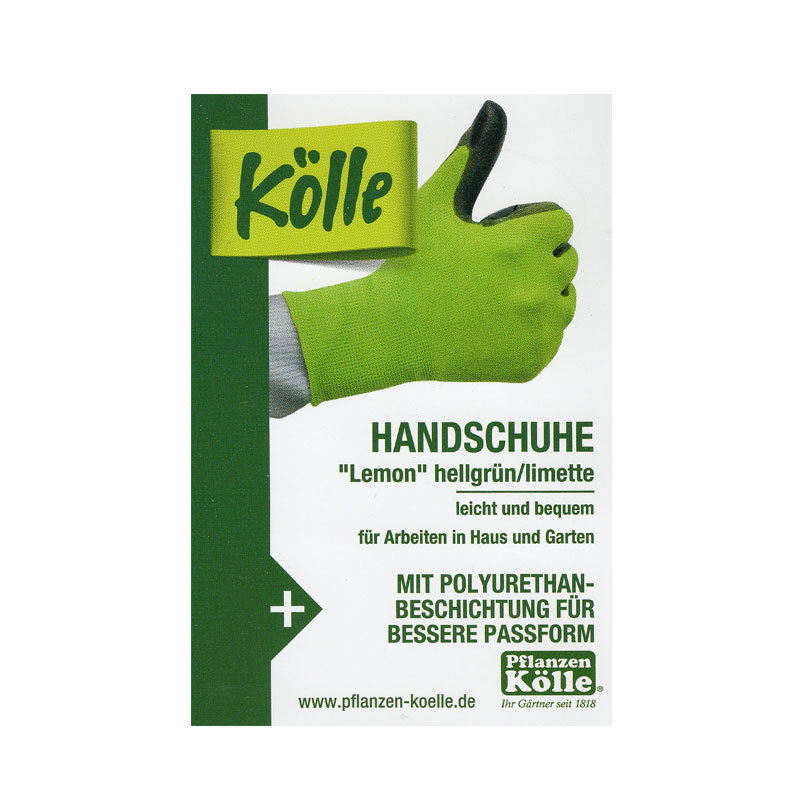 Kölle Handschuhe 