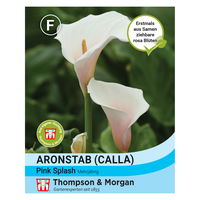 Blumensamen, Calla 'Pink Splash', rosa, 8 Stück