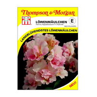 Löwenmaul (Antirrhinum) Twinny Appleblossom F1 / Hybride einjährig 