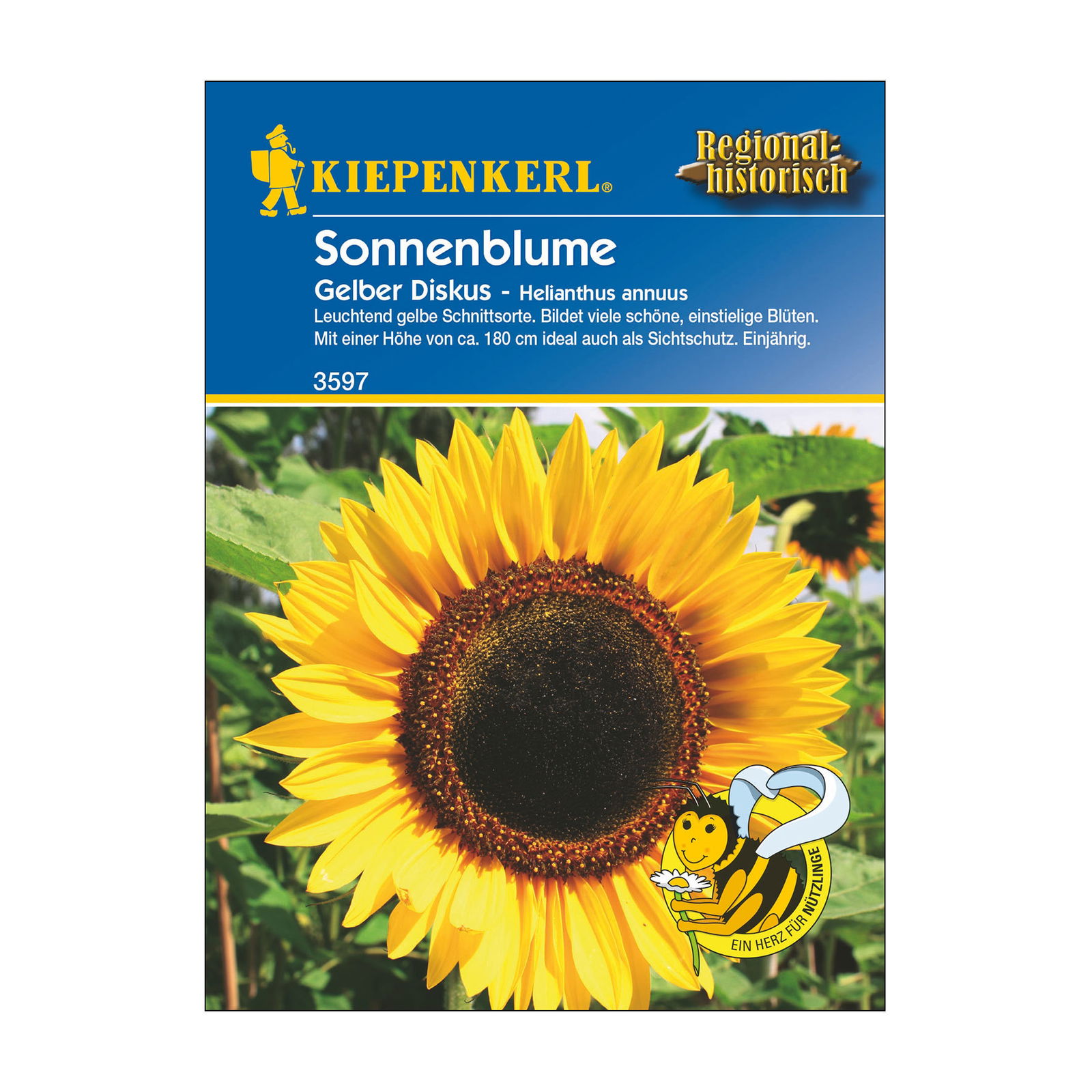 Sonnenblumensamen, Sonnenblume 'Gelber Diskus'