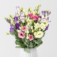 10 Lisianthus, bunt