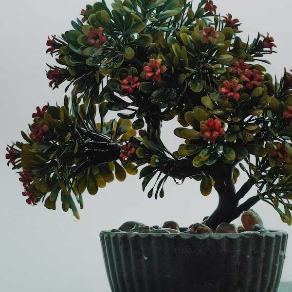 Künstlicher Bonsai