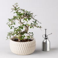 Bonsai 'Lily' Art zufällig, Topf-Ø 18cm, Höhe ca. 35 cm