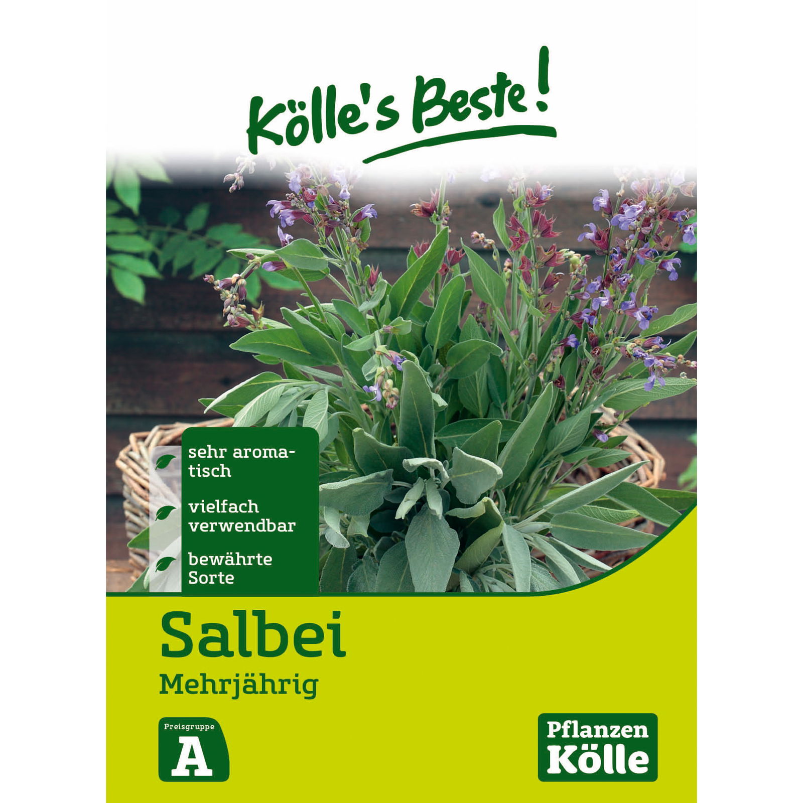 Kölle's Beste Salbei mehrjährig, 6 g