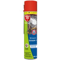 FormineX Wespen-Schaum, 600 ml