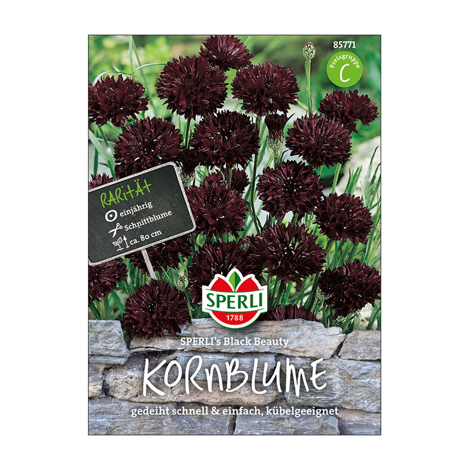 Blumensamen, Kornblume 'Black Beauty'