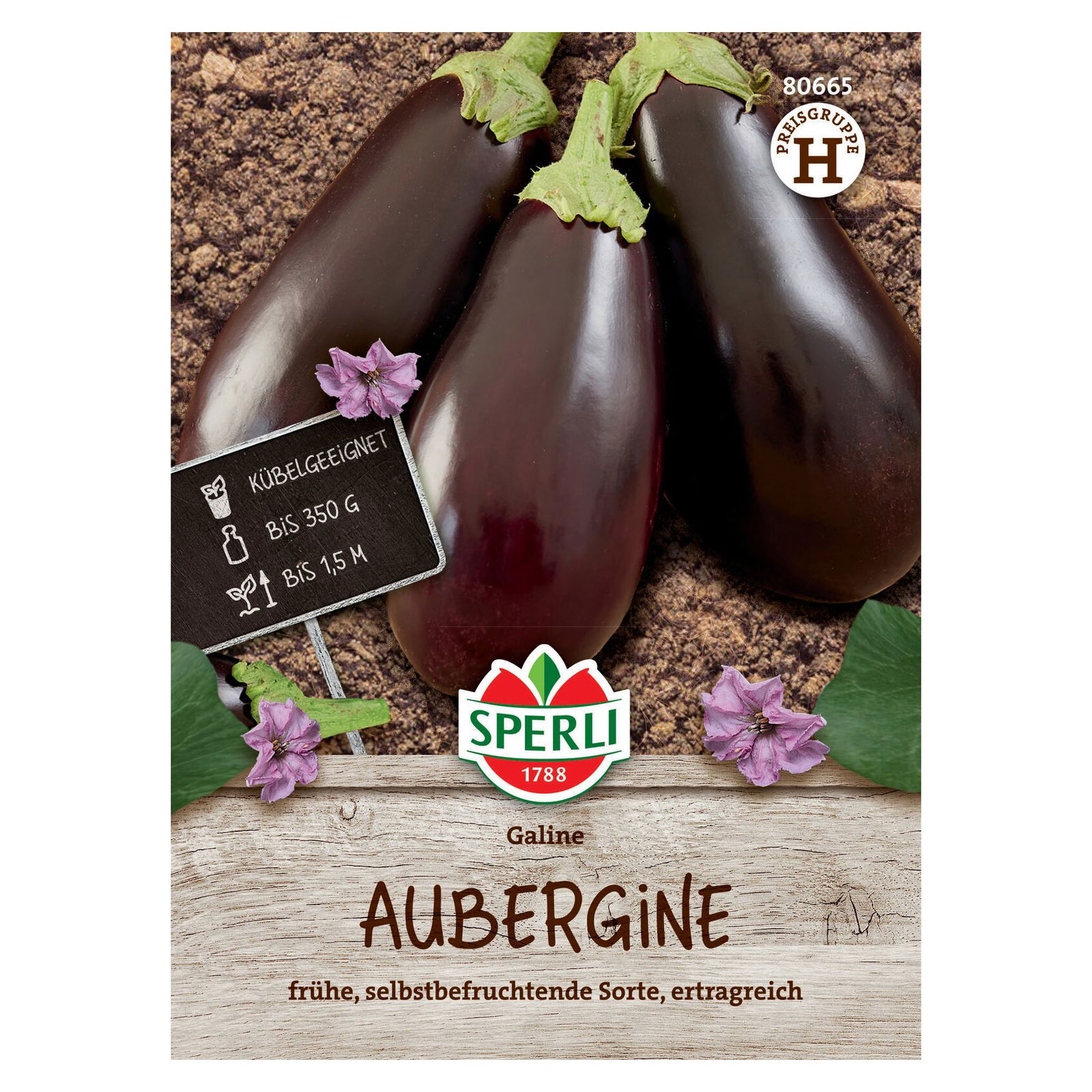 Saatgut Aubergine 'Galine'