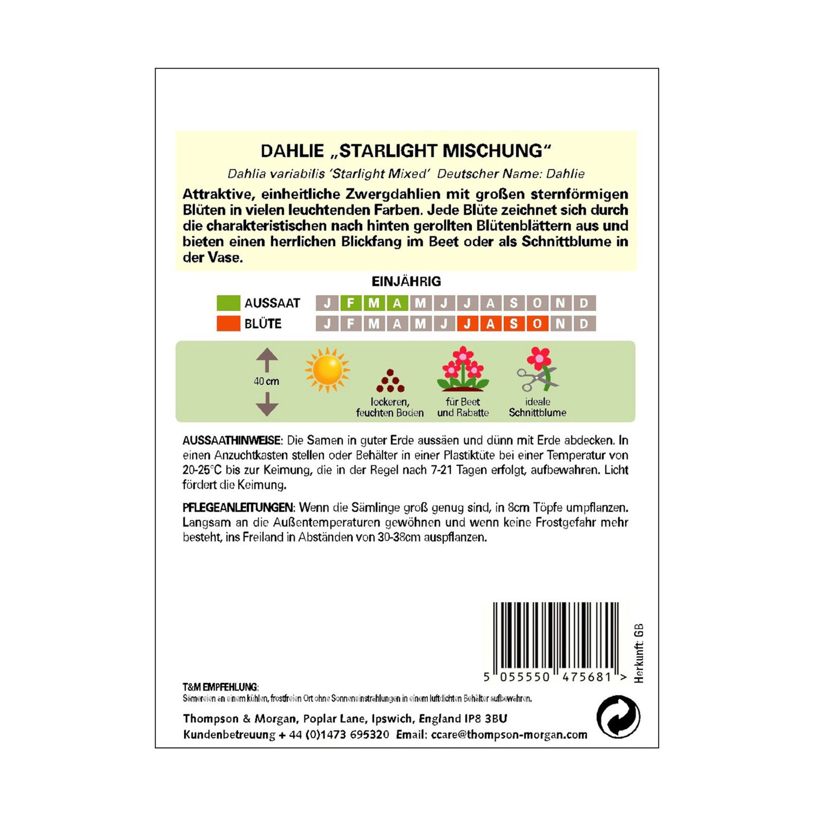 Dahlie Starlight Mischung / einjährig, auffällig, sternförmig