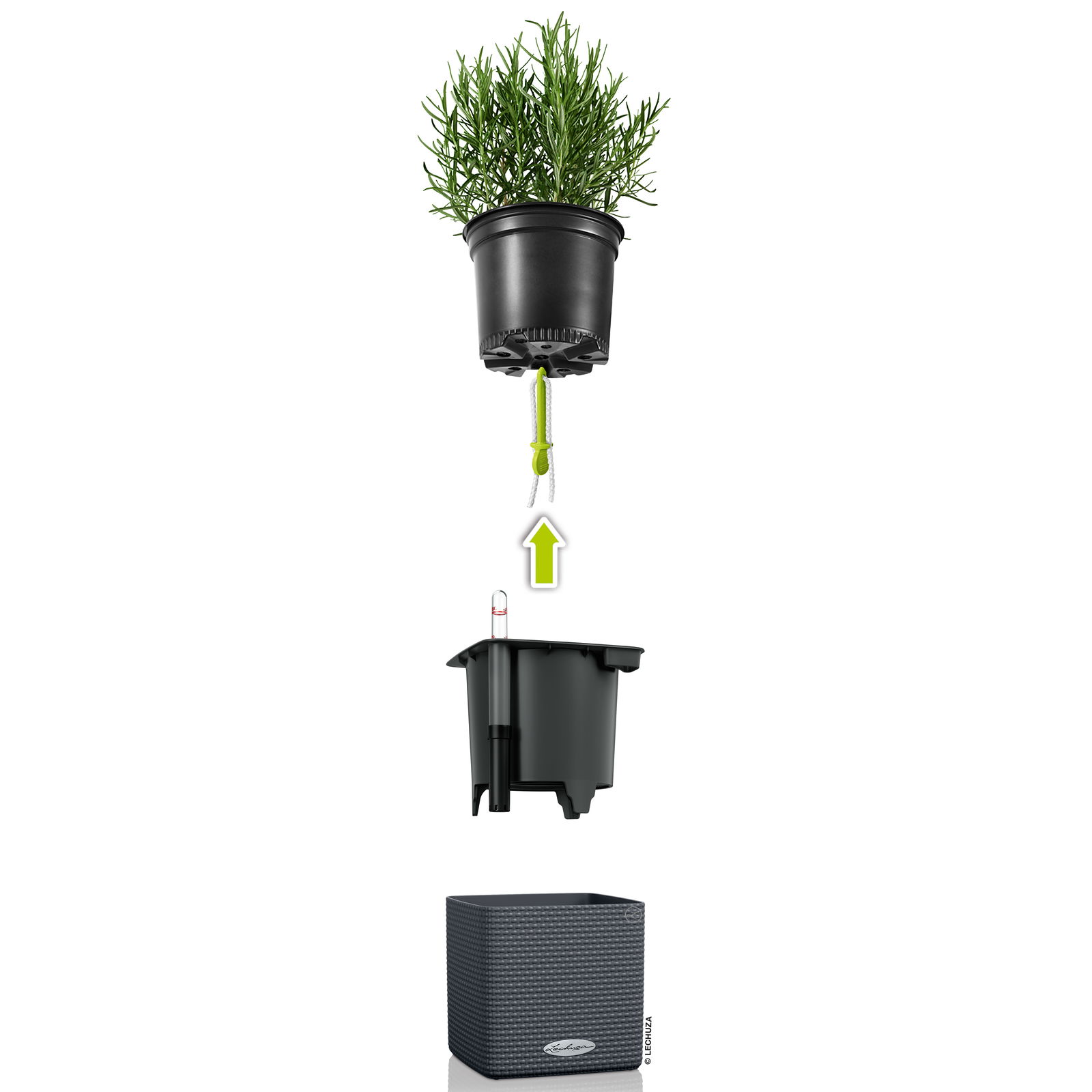 Lechuza 'Green Wall Home Kit Color', schiefergrau, 48 x 15 x H 14 cm