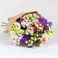 10 Lisianthus, bunt