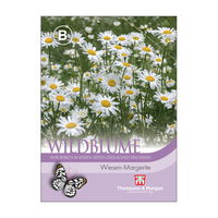 Wildblumensamen Wiesen-Margerite