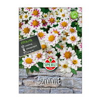 Blumensamen, Zinnien Zahara 'Starlight Rose'