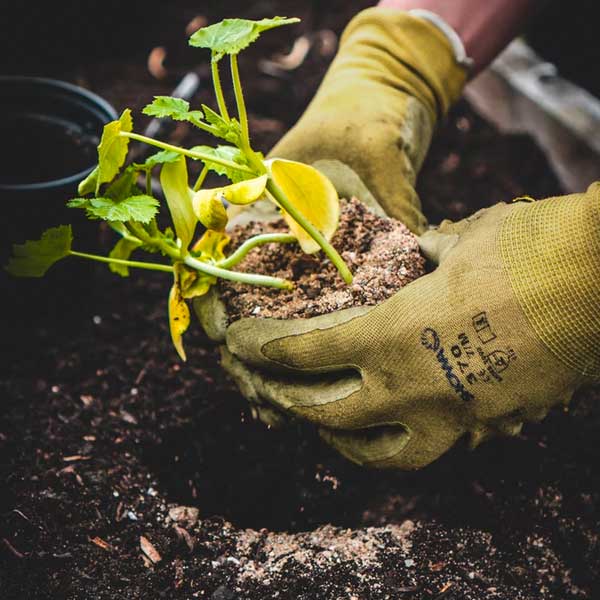 Gartenhandschuhe