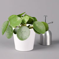 Pilea peperomioides in Topf Dallas weiß, Topf-Ø 12 cm, Höhe ca. 20 cm, 2er-Set