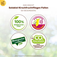 Kirschfruchtfliegenfalle, 5er-Pack