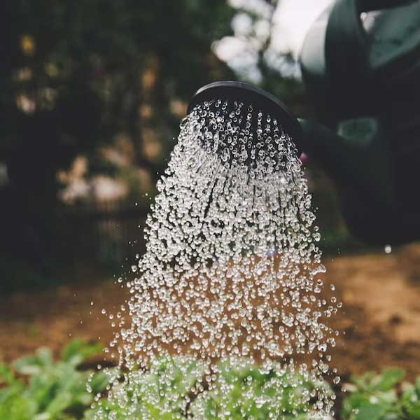 Gartenbewässerung