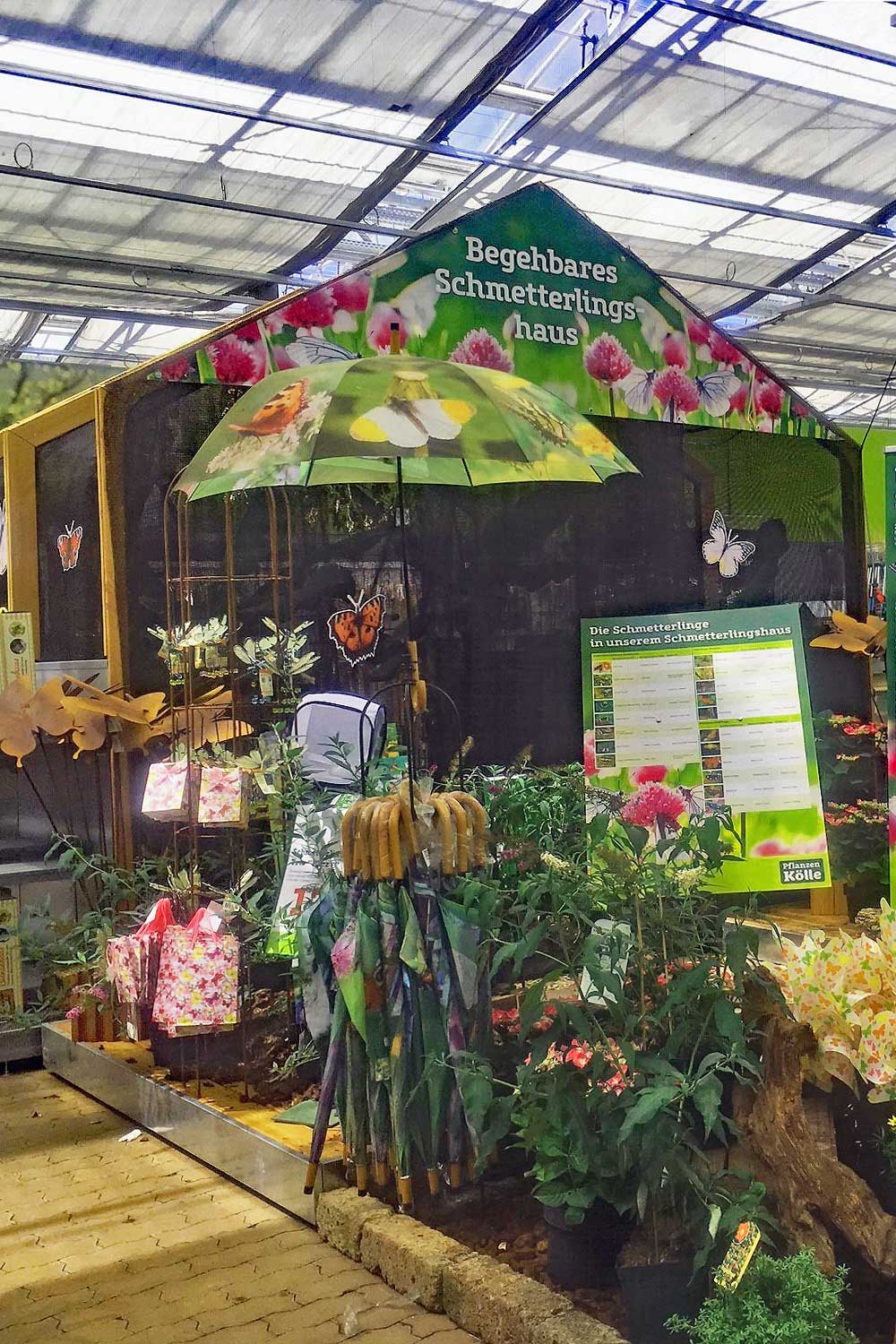 Begehbares Schmetterlingshaus im Gartencenter