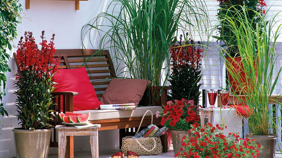 Topfgarten auf Terrasse oder Balkon in rot und grün