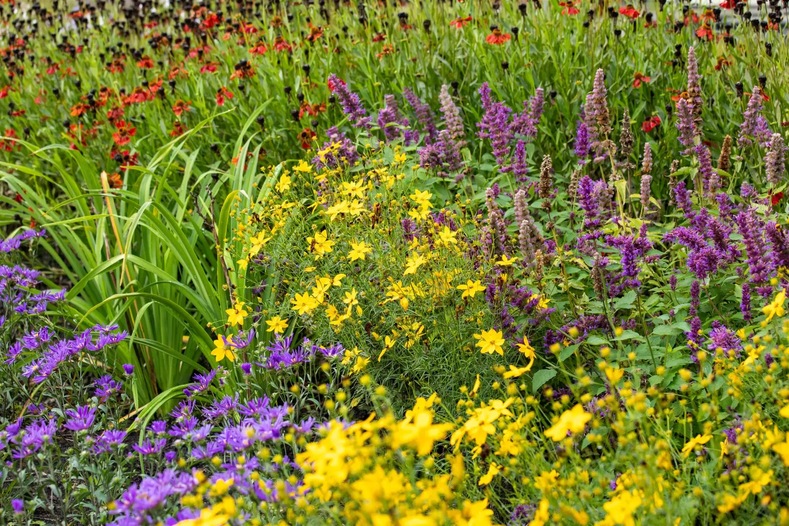 Buntes Staudenbeet