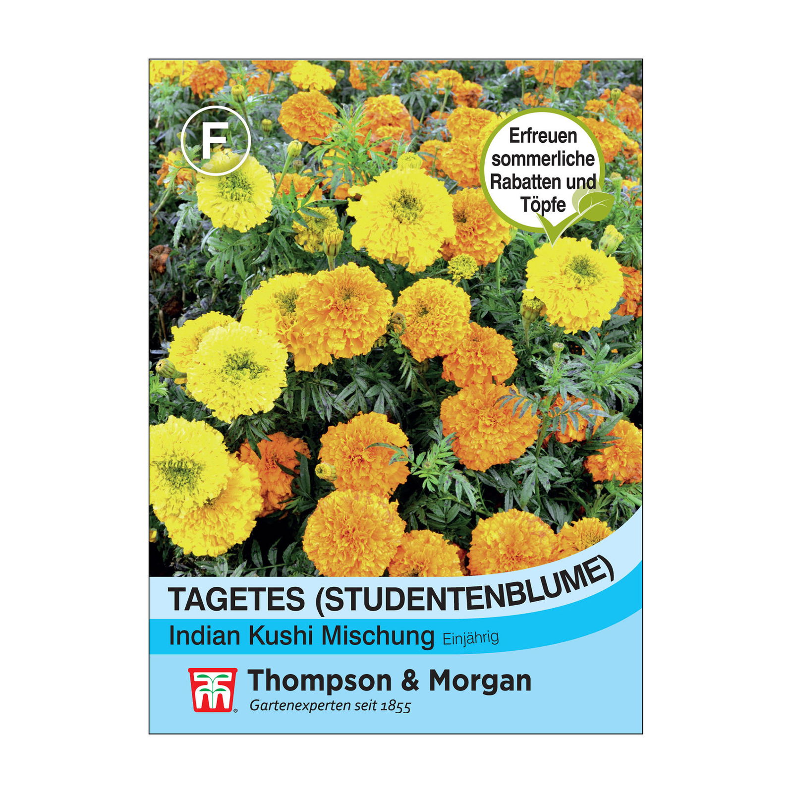 Samenmischung Tagetes, Studentenblume 'Indian Kushi', orange-gelb