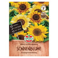 Saatgutmischung Sonnenblume 'Sperli’s Pocolino'